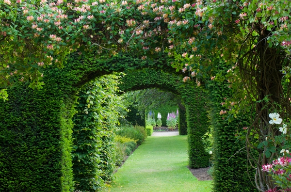 Topiary archways through the Walled Garden