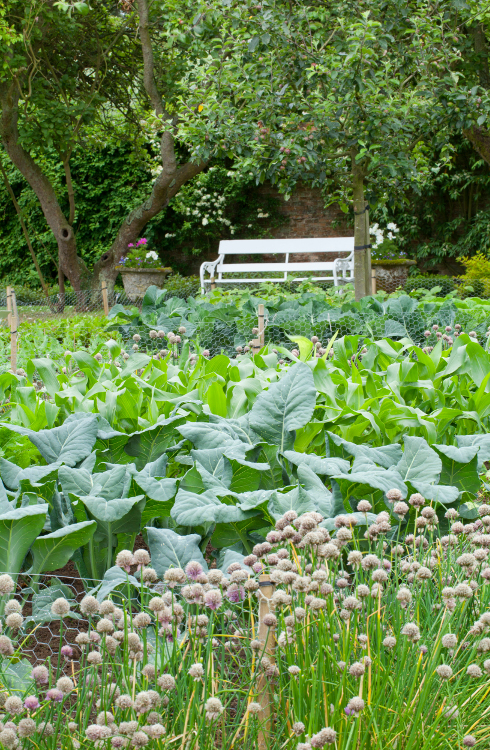 The potager, an ornamental vegetable garden