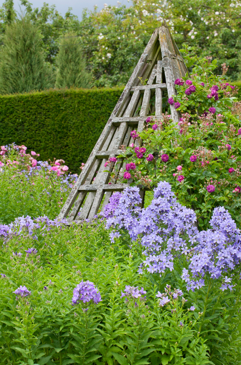 Trellis pyramid adds height amongst the flowers