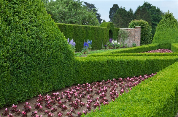 Walled Garden parterre